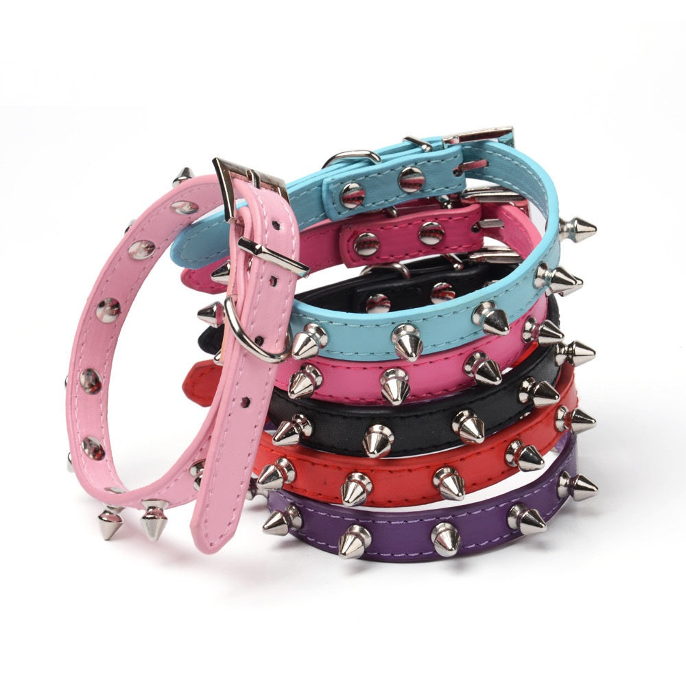 Beliebtes Haustierhalsband mit kleinen Stacheln