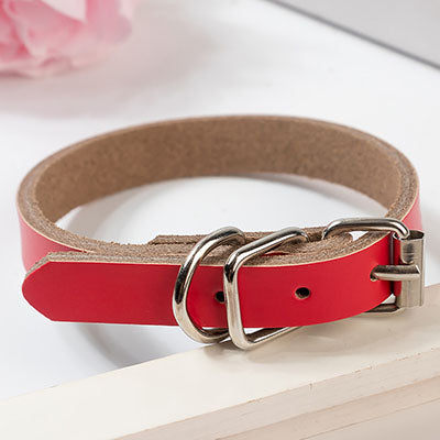 Hundehalsband in Lederoptik