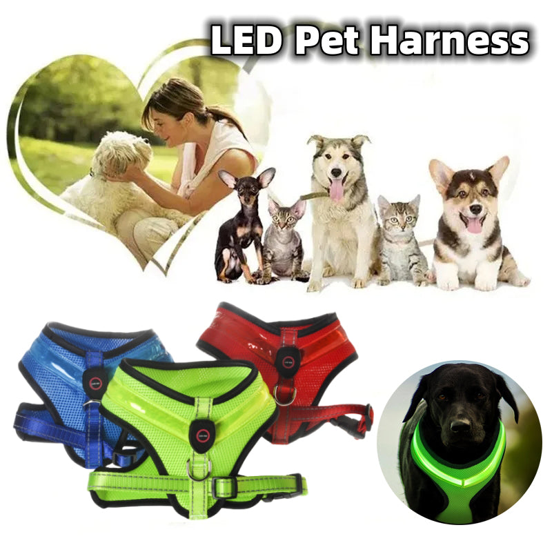 Leuchtendes LED Hundegeschirr mit USB Kabel