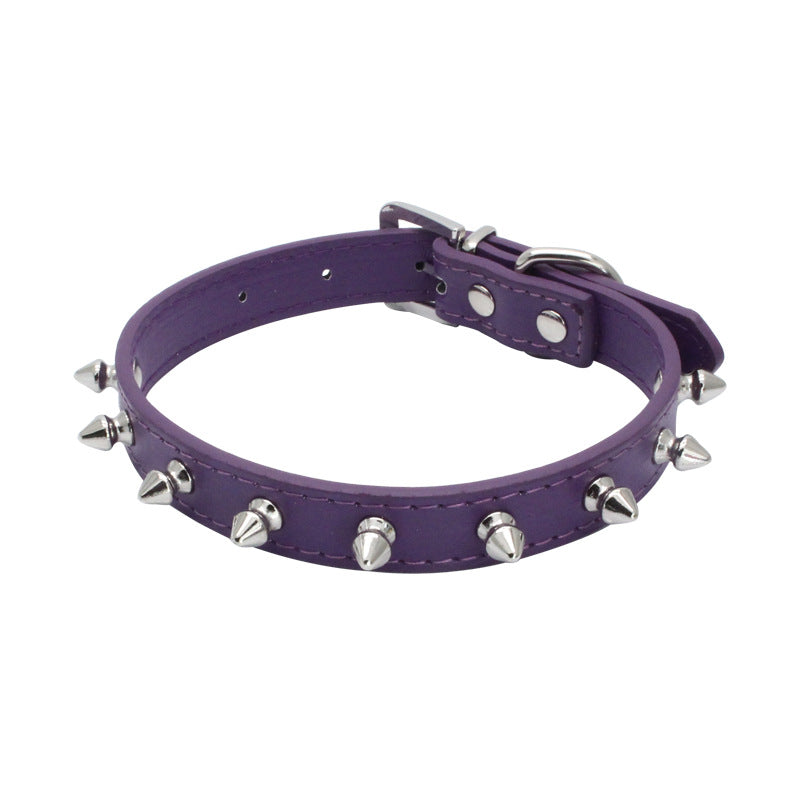 Beliebtes Haustierhalsband mit kleinen Stacheln