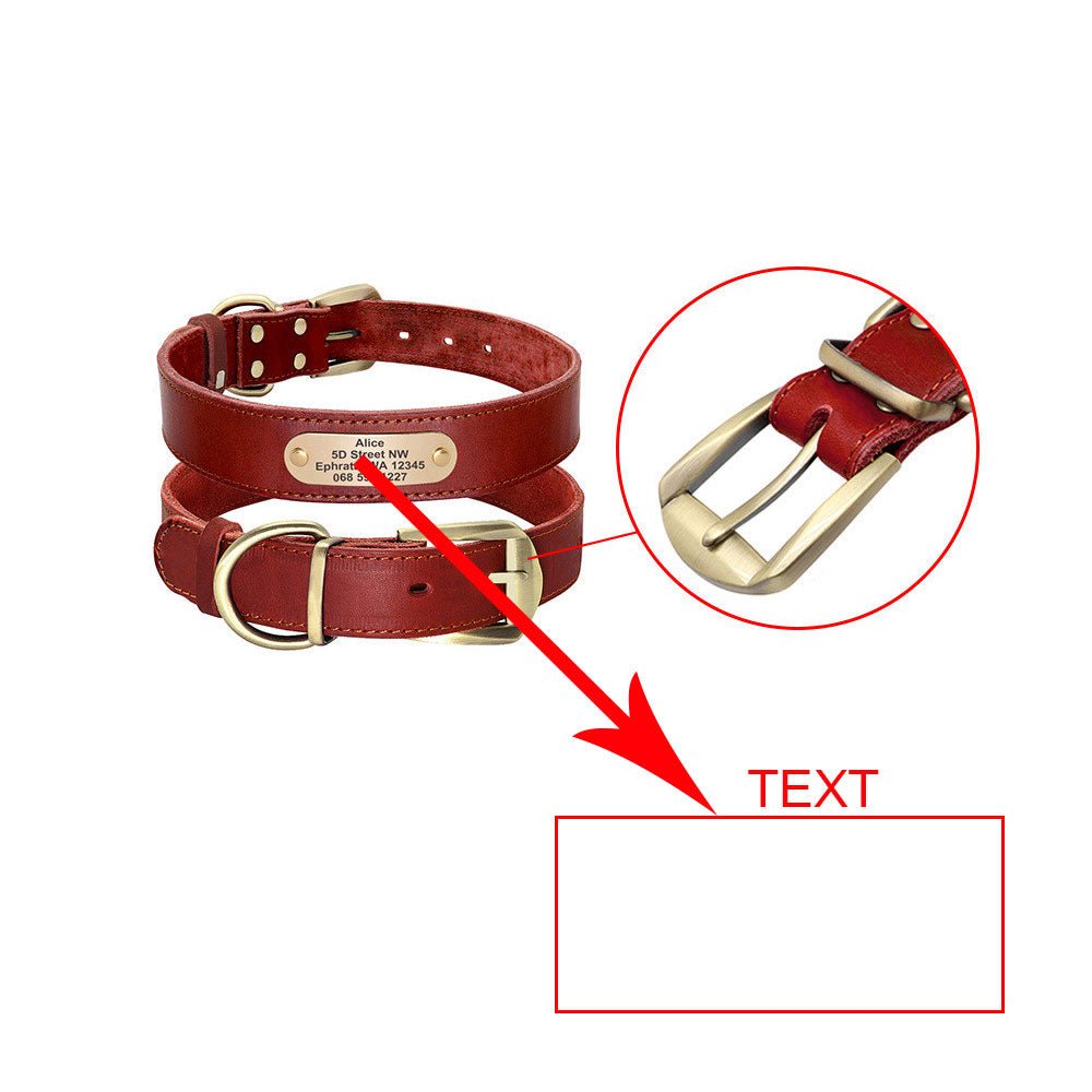 Personalisiertes Hundehalsband Leder