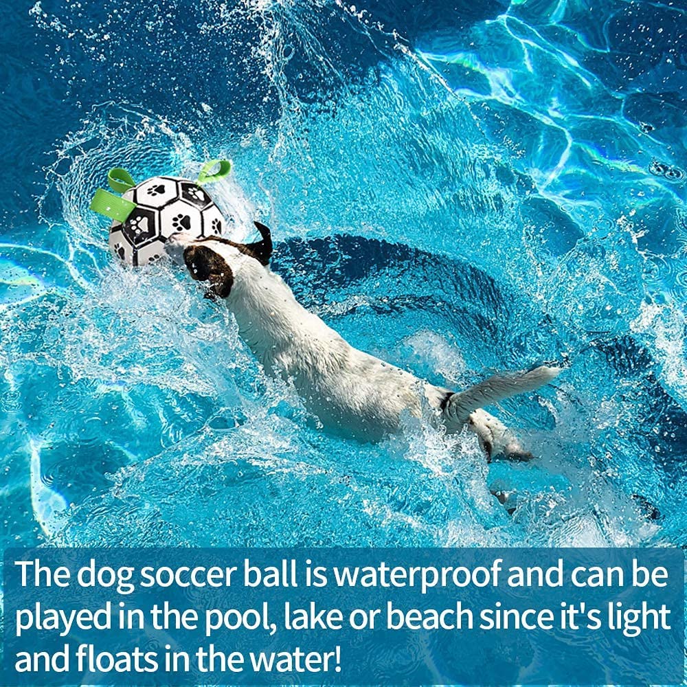 Interaktiver Fußball für Hunde inkl. Luftpumpe