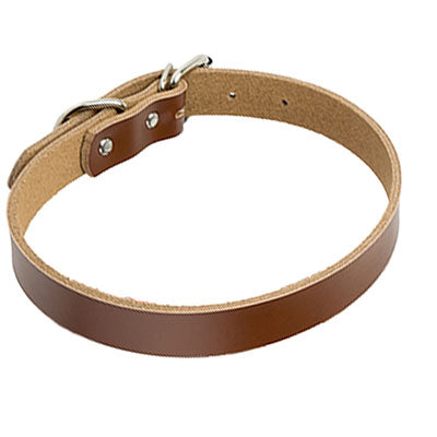 Hundehalsband in Lederoptik