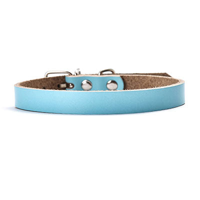 Hundehalsband in Lederoptik