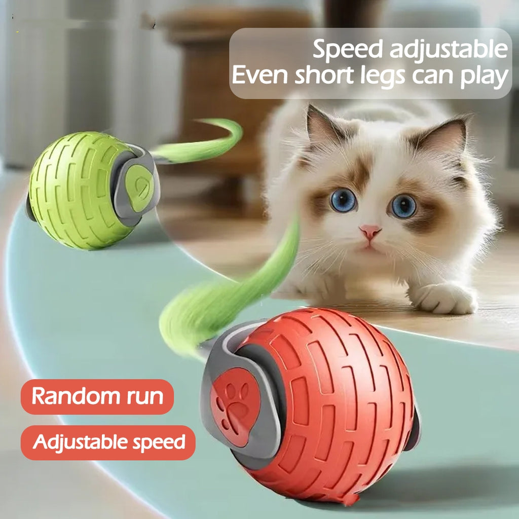Intelligenter Spielball für Katzen