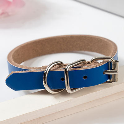 Hundehalsband in Lederoptik