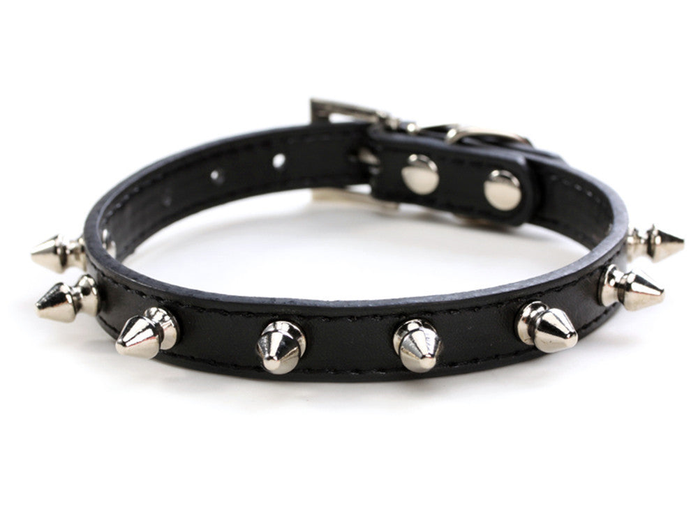 Beliebtes Haustierhalsband mit kleinen Stacheln