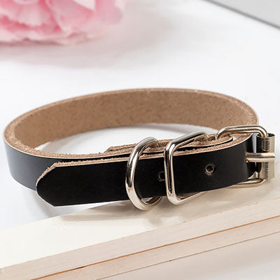 Hundehalsband in Lederoptik