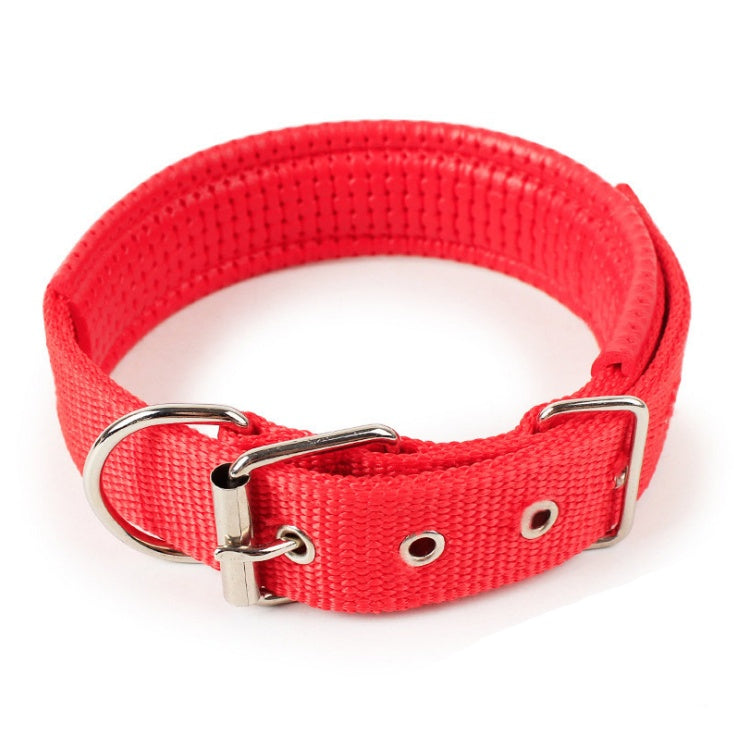Klassisches Halsband für Hunde und Katzen