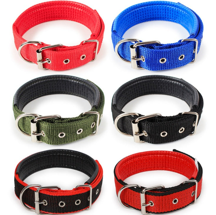 Klassisches Halsband für Hunde und Katzen