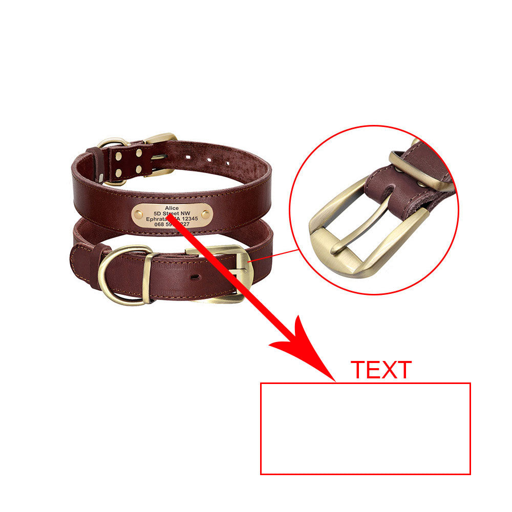 Personalisiertes Hundehalsband Leder