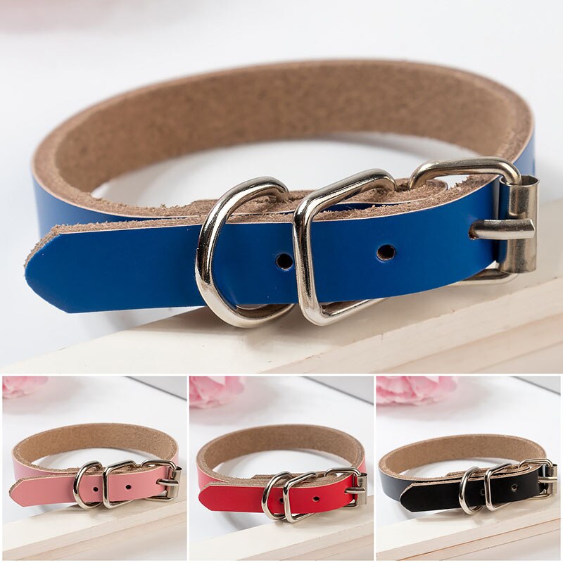 Hundehalsband in Lederoptik