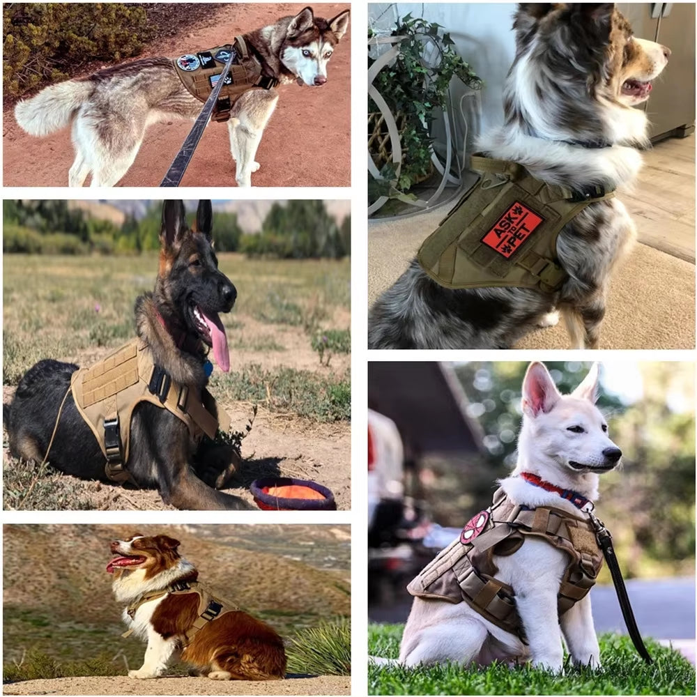 Taktisches Hundegeschirr im Militärstil