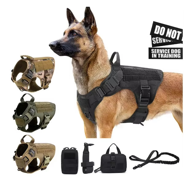 Taktisches Hundegeschirr im Militärstil
