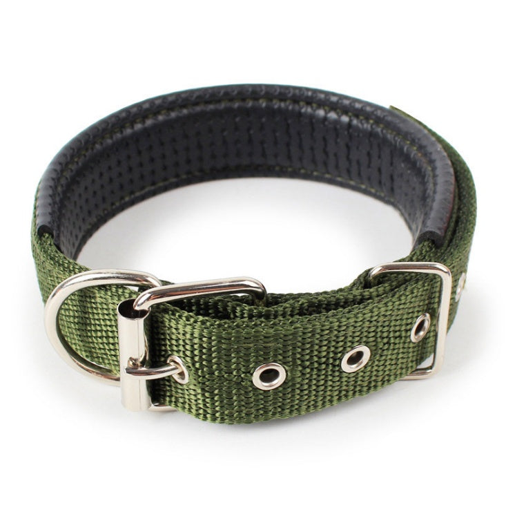 Klassisches Halsband für Hunde und Katzen
