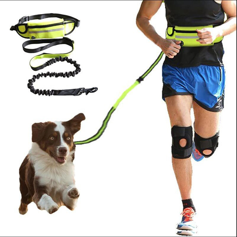 Freihändige Hundeleine mit stoßdämpfendem Bungee-Seil für große Hunde bis 82 kg inkl. Handytasche und Flaschenhalter