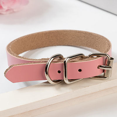 Hundehalsband in Lederoptik