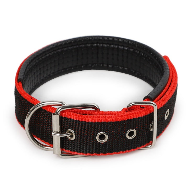 Klassisches Halsband für Hunde und Katzen