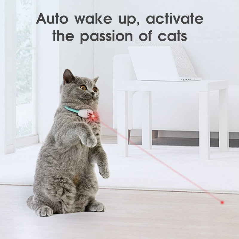 Interaktives Leserhalsband für Katzen mit USB Ladefunktion. Perfektes Katzenspielzeug