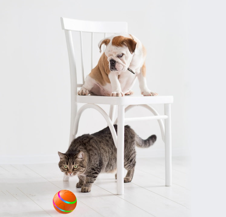 Intelligenter Ball für Hunde und Katzen