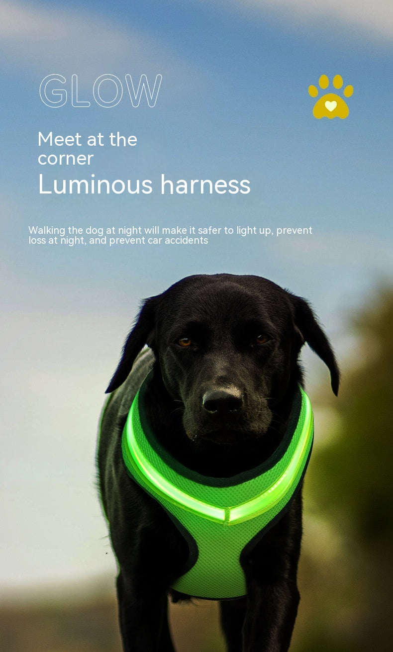 Leuchtendes LED Hundegeschirr mit USB Kabel