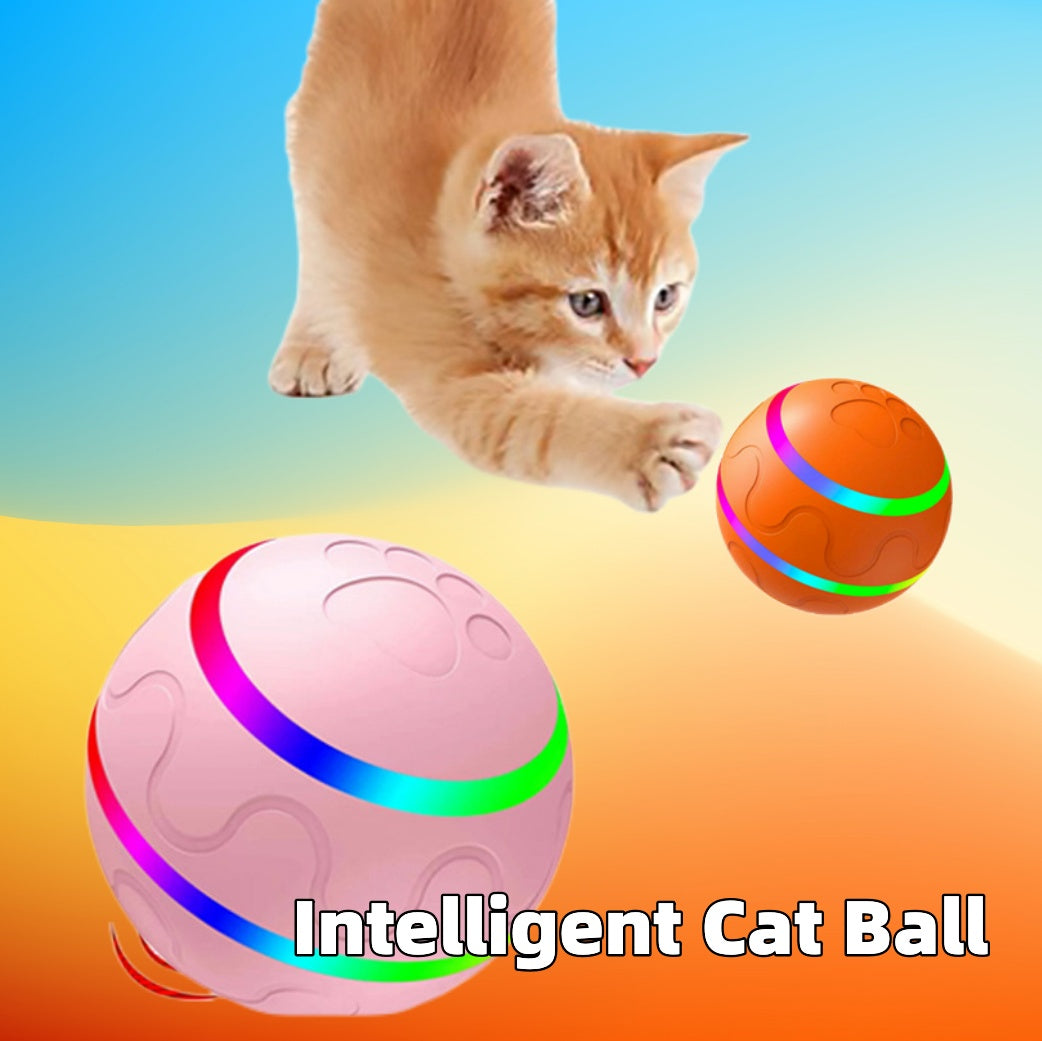 Intelligenter Ball für Hunde und Katzen