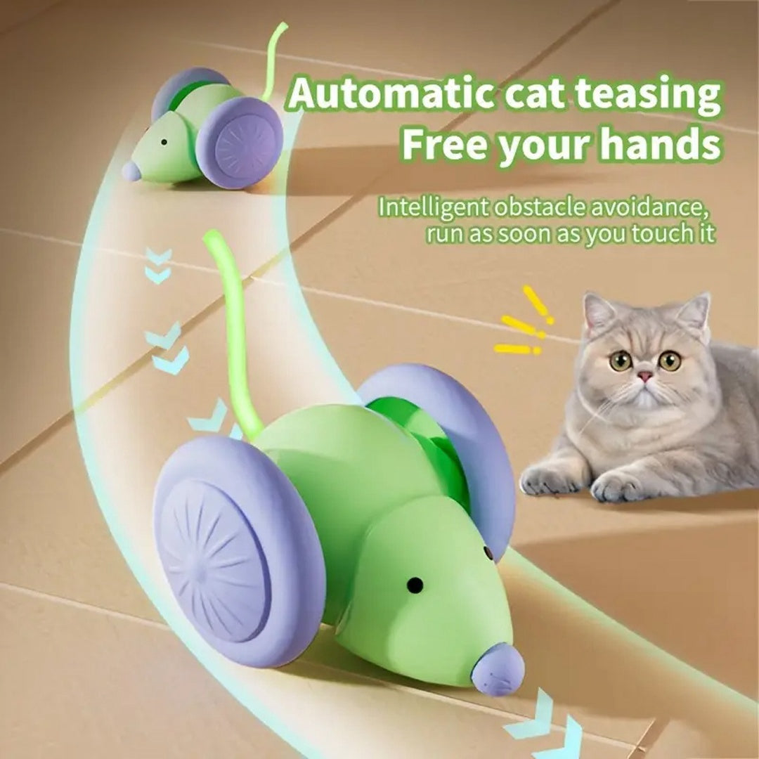 Intelligente Spielzeugmaus für Katzen